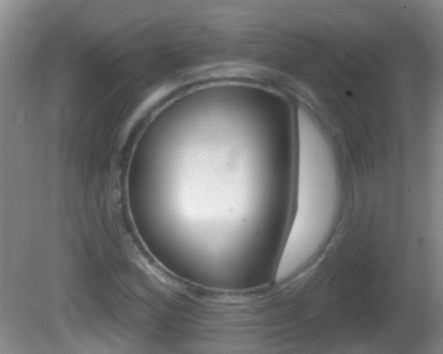 X0000082681164200701260921
