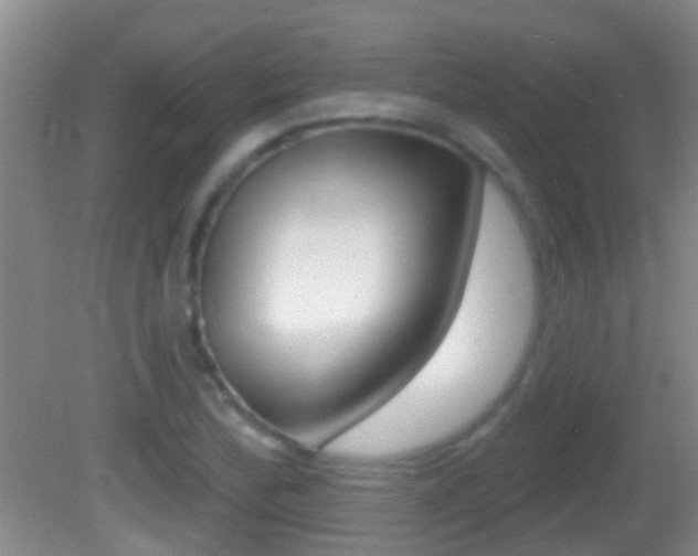 X0000082681172200701260921