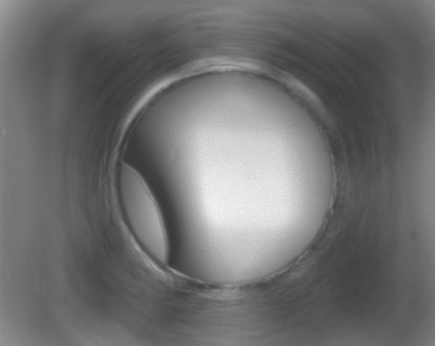 X0000082681182200701260921