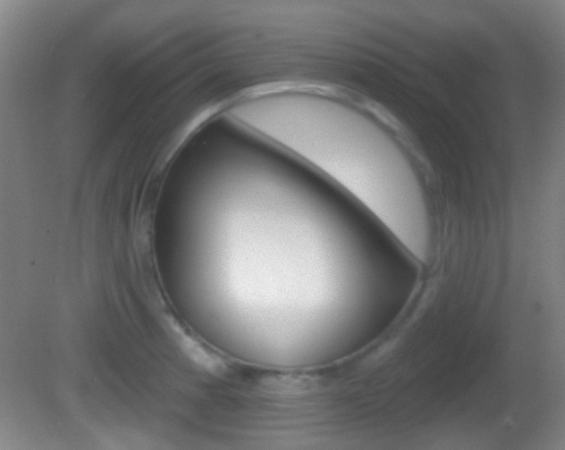 X0000082681185200701260921