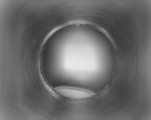 X0000082681187200701260921