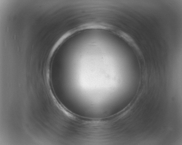 X0000082681188200701260921