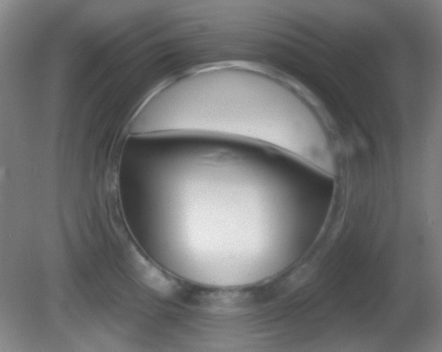 X0000082681193200701260920