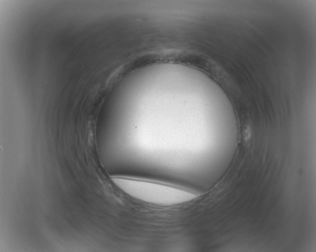 X0000082681204200701260920
