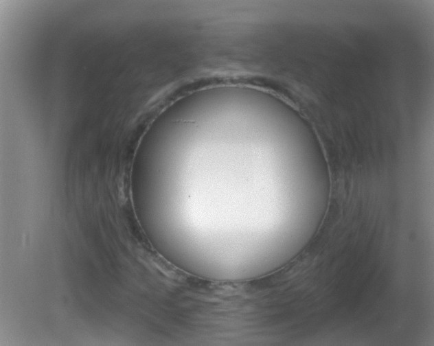 X0000082681205200701260920