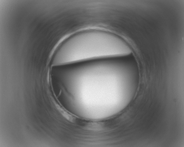 X0000082681224200701260920