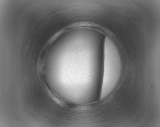 X0000082681225200701260920