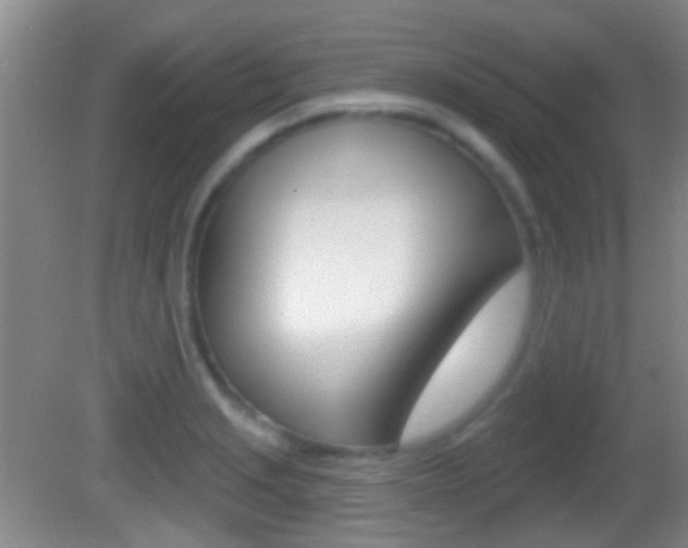 X0000082681229200701260920