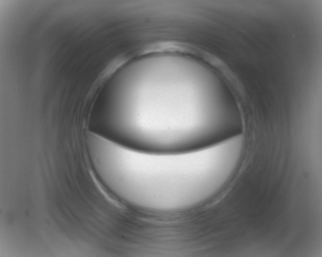 X0000082681233200701260920