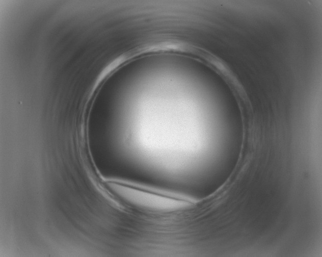 X0000082681234200701260920