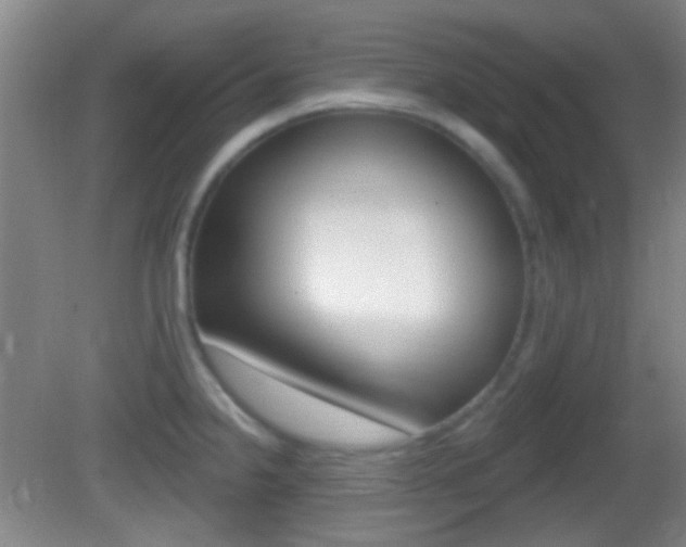 X0000082681238200701260920