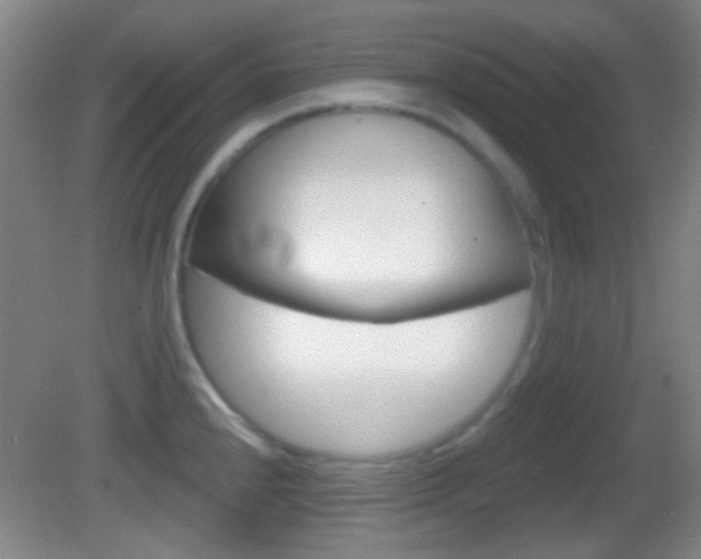 X0000082681240200701260920