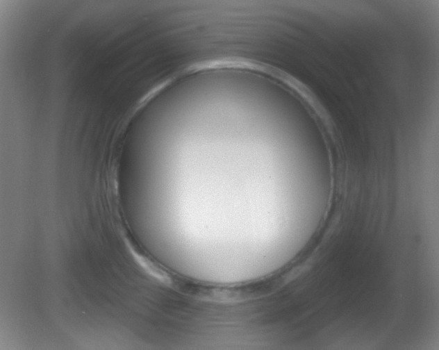 X0000082681241200701260920