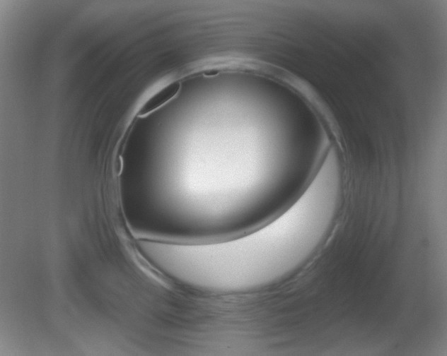 X0000082681242200701260920