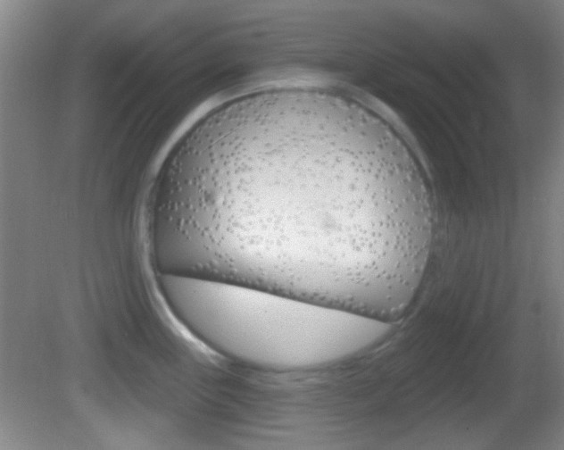 X0000082681243200701260920