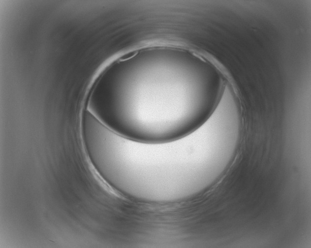 X0000082681246200701260920