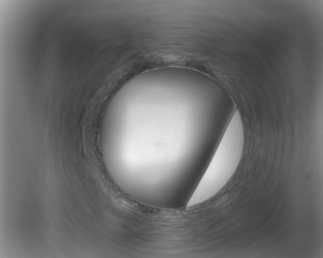 X0000082681249200701260920