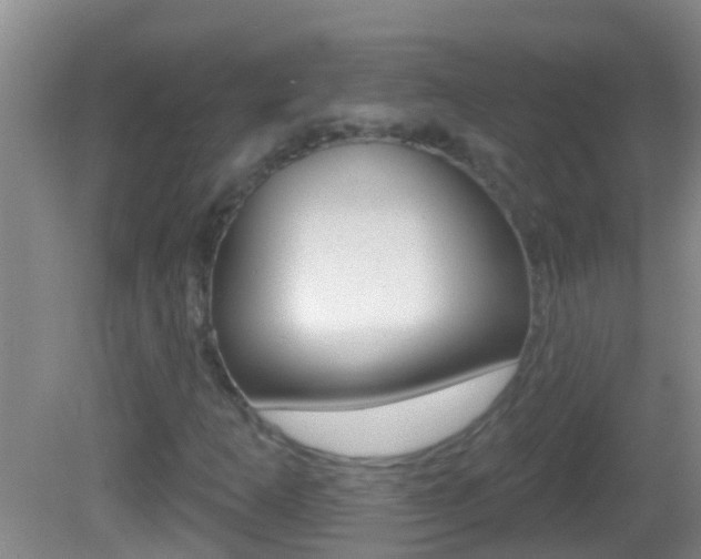 X0000082681253200701260919