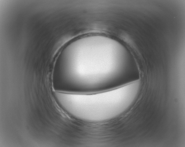 X0000082681260200701260919