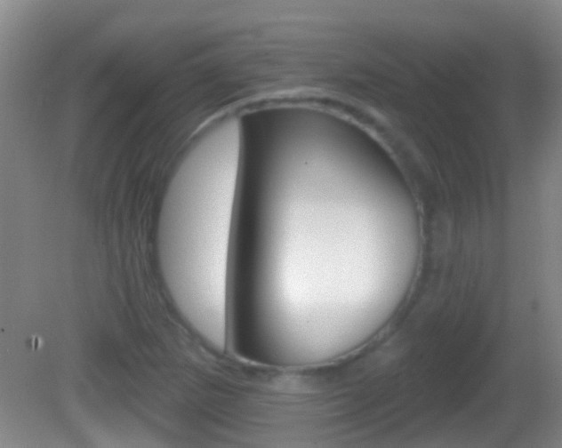 X0000082681265200701260919