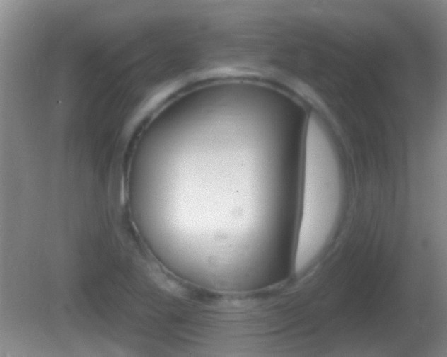 X0000082681269200701260919