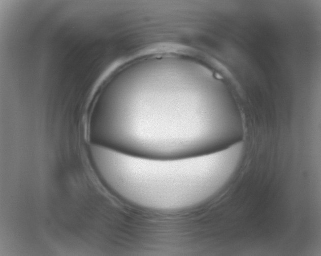 X0000082681275200701260919