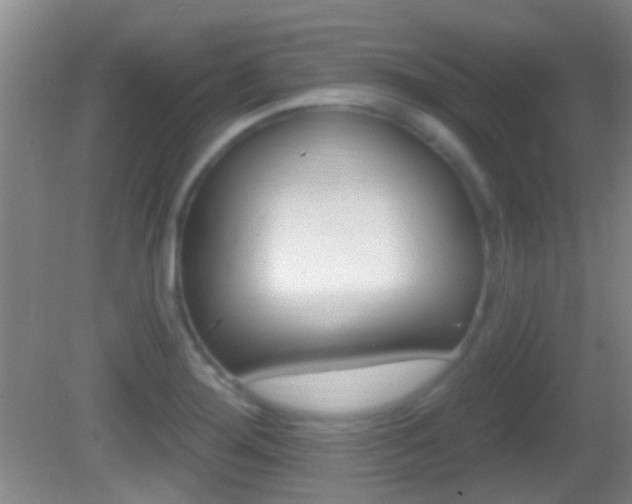 X0000082681276200701260919