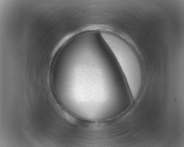 X0000082681277200701260919