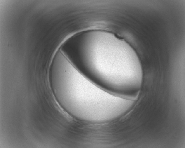 X0000082681284200701260919