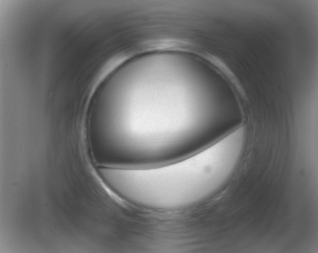 X0000082681285200701260919