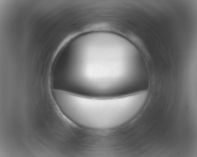 X0000082681288200701260919