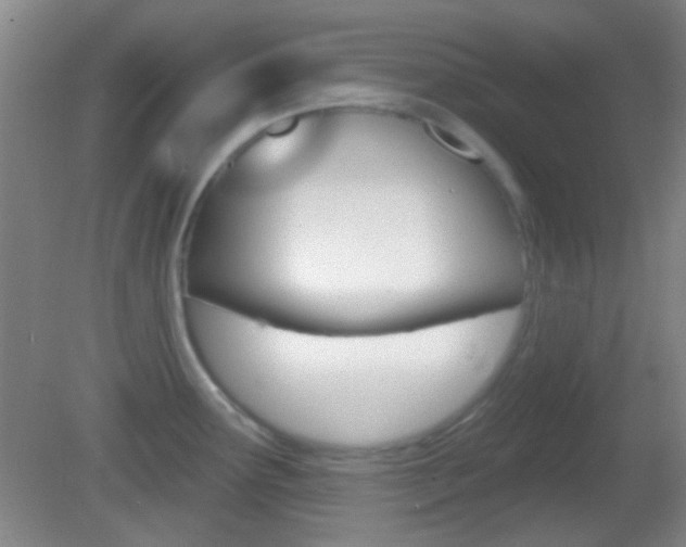 X0000082681291200701260919