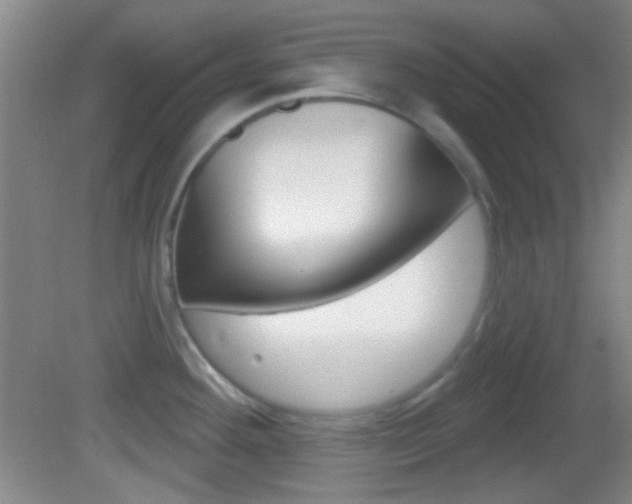 X0000082681292200701260919