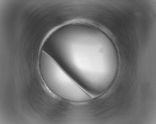 X0000082681296200701260919