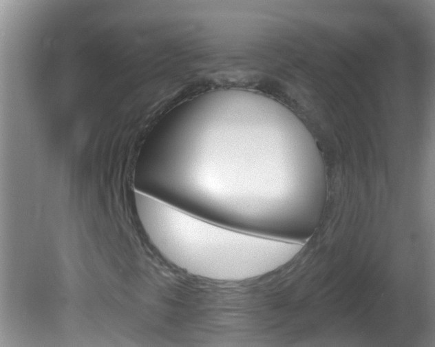 X0000082681297200701260918