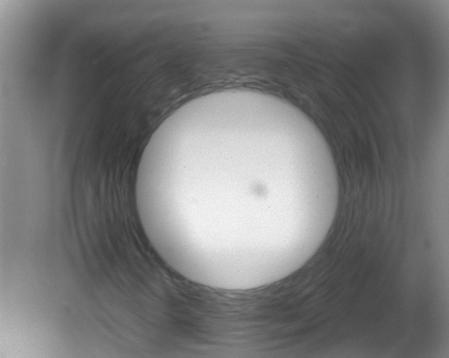 X0000082681298200701260918