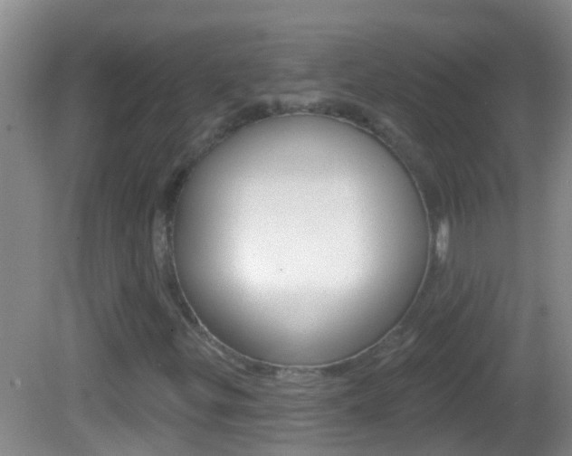 X0000082681299200701260918