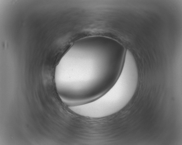 X0000082681300200701260918