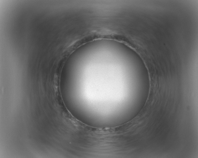 X0000082681301200701260918