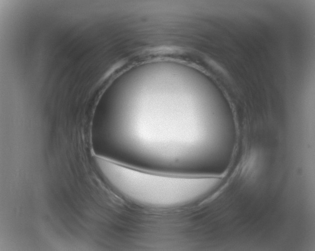 X0000082681305200701260918