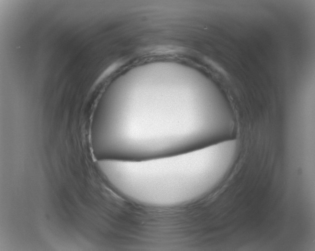 X0000082681306200701260918
