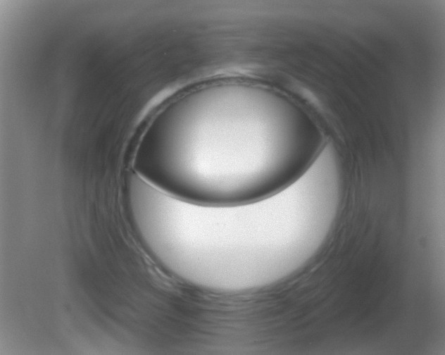 X0000082681308200701260918