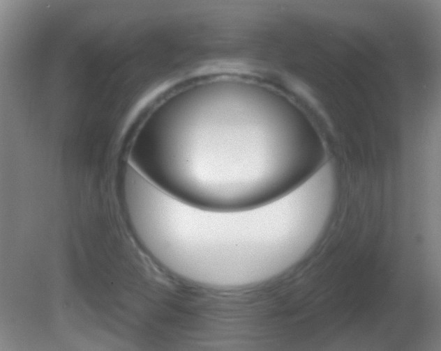 X0000082681312200701260918
