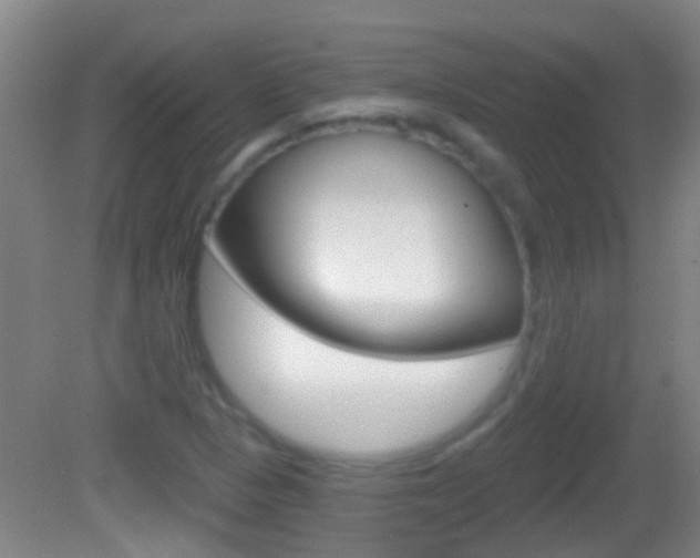 X0000082681313200701260918
