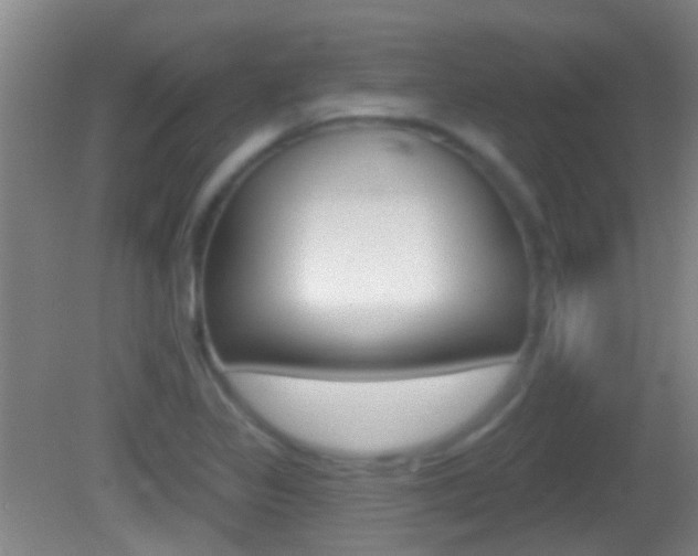 X0000082681317200701260918