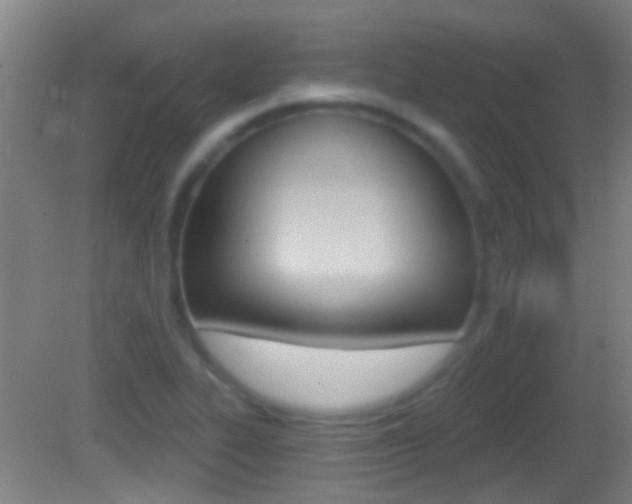 X0000082681319200701260918