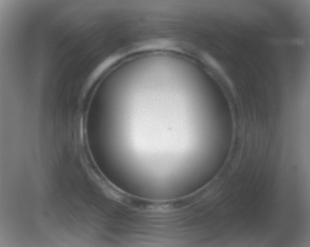 X0000082681320200701260918