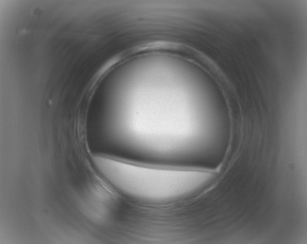 X0000082681321200701260918
