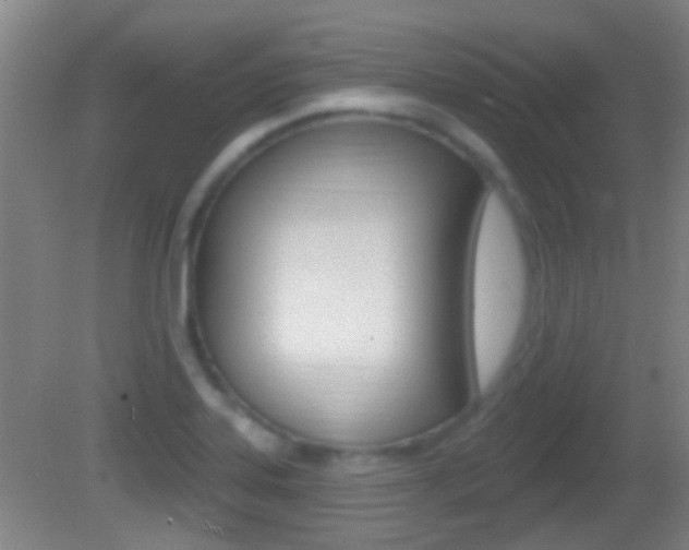 X0000082681323200701260918