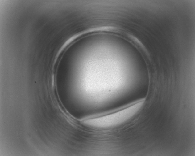 X0000082681324200701260918